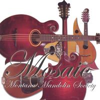 Mosaic Cover of Mosaic