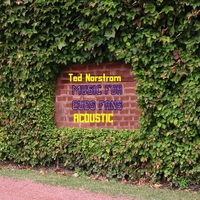 Ted Norstrom : Music For Cubs Fans - Acoustic
