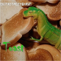 TOAST: EKSTREEMLEEBURNT