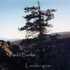 TODD BANKS: Landscapes