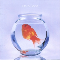 Todd Hunter Band : Life Is Good