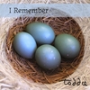 TODDIE STEWART: I Remember
