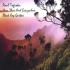 PAUL TOGIOKA: Here, There and Everywhere Slack Key Guitar