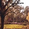 TOM E. DOYLE: Southern Breezes