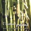 FABRICE TONNELLIER: L'instant Present ("Here and Now")