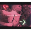 TON SNIJDERS: Zwaluw 22