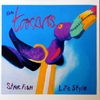 THE TOOCANS: Starfish Lifestyle