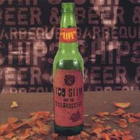 Too Slim and the Taildraggers : Beer & Barbeque Chips
