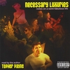 TOPHER PAYNE: Necessary Luxuries