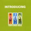TORTURED SOUL: Introducing Tortured Soul