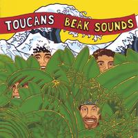 Toucans Steel Drum Band : Beak Sounds