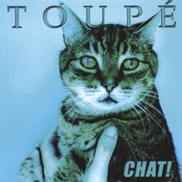 Toupé : Chat!