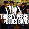 THIRSTY PERCH BLUES BAND: Meet the Thirsty perch Blues Band
