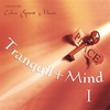 STEFAN MIKEL & I.B. PAULSON: Tranquil+Mind 1