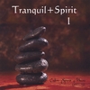 STEFAN MIKEL & I.B. PAULSON: Tranquil+Spirit 1