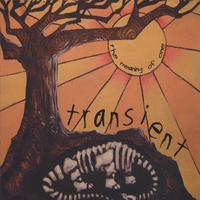 Transient : The Meaning of One