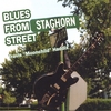TRAVIS HADDIX: Blues From Staghorn Street