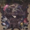 TRE: Primordial Pulse
