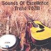 SOUNDS OF EXCELLENCE: Sounds Of Excellence