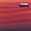 TRENT HANNA: Sojournal