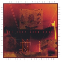 Trey Gunn : The Joy of Molybdenum