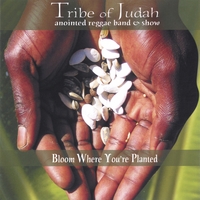 Tribe Of Judah Annointed Reggae Band And Show : Bloom Where Your Planted