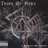 TRIBE OF MORE: A Spiritual Government