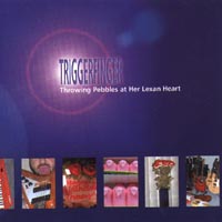 Wayne Resnick's Trigger Finger : Throwing Pebbles at Her Lexan Heart