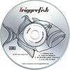 TRIGGERFISH: Triggerfish