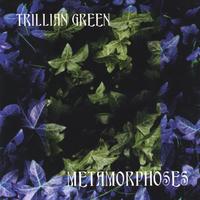 Trillian Green : Metamorphoses