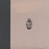 TRILOBITE: Trilobite