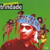 TRINDADE: o melhor do bom do trindade v. 1