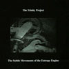 THE TRINITY PROJECT: The Subtle Movements of the Entropy Engine