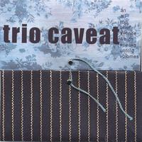 Trio Caveat : An All Too Brief Silence Which Speaks Untold Volumes