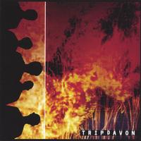 Tripdavon : Tripdavon