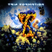 Various Artists : Trip Formation