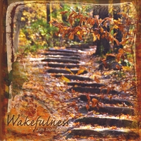 Jim Trompeter : Wakefulness