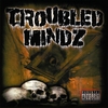 Troubled Mindz: Thoughts of a Loonatik