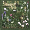 TABITHA REIST STEINER: Summer Past