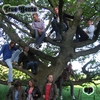 True Gents: True Gents - EP