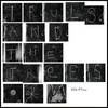 TRULS AND THE TREES: Ailanthus