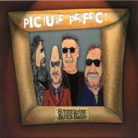 Summertime Blues Band : Picture Perfect
