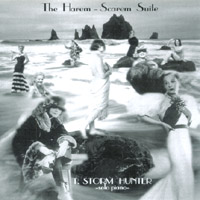T. Storm Hunter : Harem-Scarem Suite