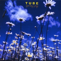 Tube : Spring Pig