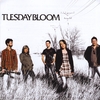 TUESDAY BLOOM: Tuesday Bloom