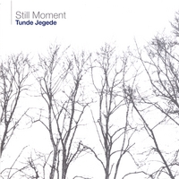 TUNDE JEGEDE: Still Moment