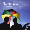 THE TURKEYS: It's Gonna Rain