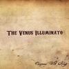 THE VENUS ILLUMINATO: Company With Kings