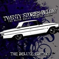 Various Artists : Twenty Stories Below - The Blind Melon Tribute Album
