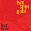 TWO SPOT GOBI: Hey Now